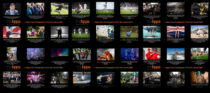 Young Photographer Of The Year entries