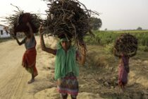 A girl carries wood kindling for a brick factory in Nepal near the Indian border in Banke District. Many school age children and young women from poor families work in brick kiln factories in Nepal to help earn income for their families which has a detrimental effect of their schooling and their health. Due to gender inequality in Nepal girls and young women are more likely to be involved in labour intensive jobs and also work longer hours.
Photo:Philip Coburn