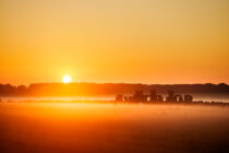 15,000 people watch the solstice sunrise at Stonehenge.