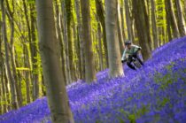 Morgane Such riding a trail in the spring bluebells in Monmouthshire.
Location: Newport, South Wales, United KIngdom.