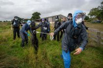 DEFRA vets and the police removing Geronimo from Shepherds Close Farm in Gloucestershire due to a bovine tuberculosis diagnosis.