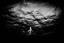 944DAFEE-2D62-41D8-A797-1BFA6D97AC86