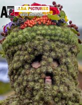 Pictured: Burryman
The folklore character the Burryman carried out his annual walk through the streets of Queensferry to mark the start of the Ferry Fair, traditionally having a glass of whisky at every bar on the route. Covered head to toe in over 20,000 burrs, the tradition dates back hundreds of years.
© Dave Johnston / EEm