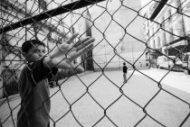 _SFI0073a
