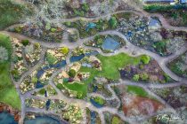 The Rock Garden at RHS Wisley.