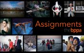 Assignments 2021