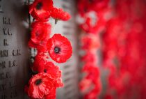 25th April 2014 Canberra Australia
Britain's Prince William and Catherine, Duchess of Cambridge attend the ANZAC Commemoration ceremony where they viewed the wall of poppies, signed the visitors book and met with VC holders.
Photograph by Michael Dunlea