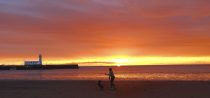 © Tony Bartholomew 07802 400651
mail@bartpics.co.uk
20th October 2014
As stormy weather threatens to sweep across Britain a dog walker on Scarborough's South Bay beach makes the most of a vivid sunrise as the sun peeps over the horizon.