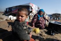 Picture taken on 18 July, 2013.