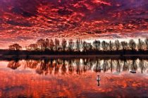 The sky looked on fire this morning, as it made the clouds glow red, as swans sit on a calm Peterborough Rowing Lake, in Nene Park, Peterborough, Cambridgeshire.